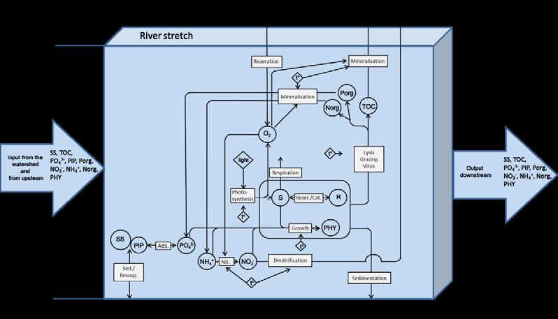 Figure 3: