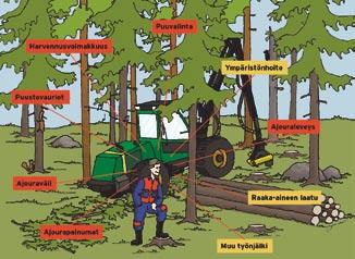 KORJUUN JÄLJILLÄ Harvennushakkuiden korjuujälkeä on seurattu järjestelmällisesti jo yli 10 vuoden ajan.