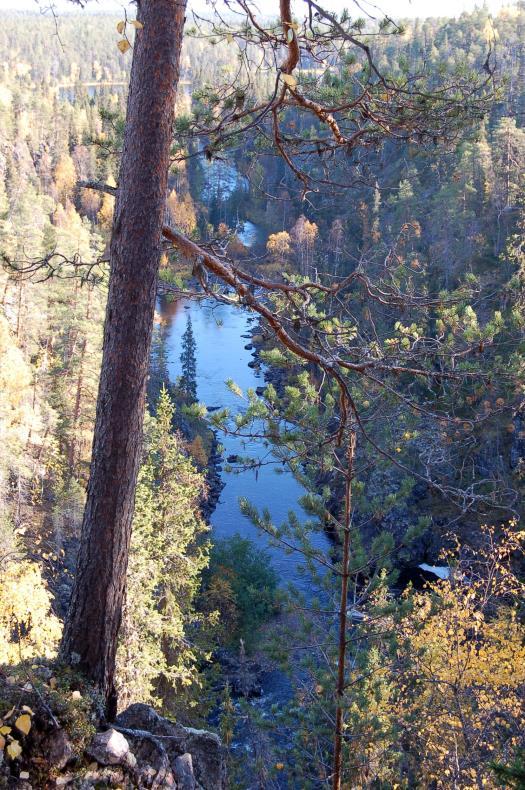 6 Savilampi Taivalköngäs Savilammelta Karhunkierros kulkee metsämaisemien kautta Taivalkönkäälle.