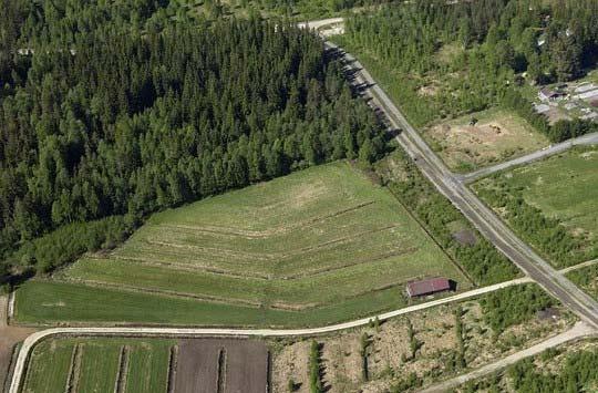 , korttelit 1-