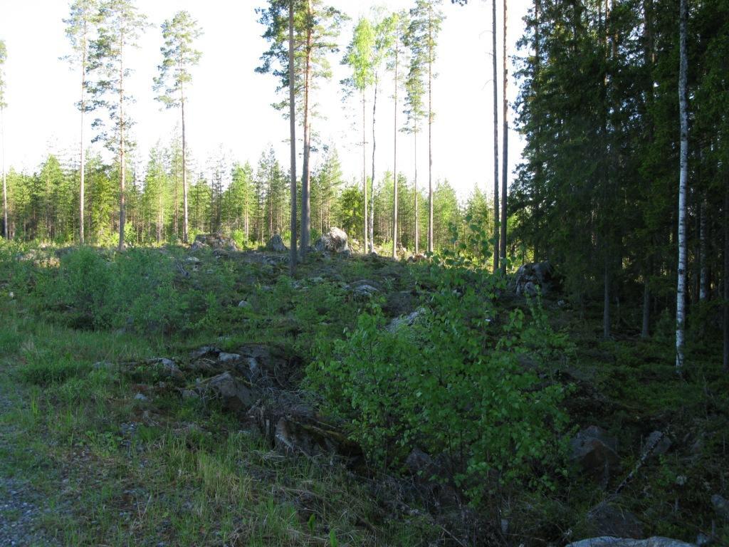 Luontoselvitys 10 (13) Kuva 3-5. Metsälä-suojelualueen rajaa oikealla. Näkymä on kohti suunnitellun voimalaitoksen sijoituspaikkaa.