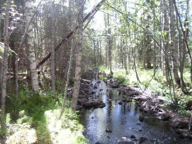 10 Kuvat 12ab. Myllylahden Roukamojärven laskupuro ja sen lähiympäristö ovat ekologisesti kaikkein huomionarvoisin kohde (4). Alueella on koivuvaltaista heinä-metsäkortekorpea ja soistumaa.