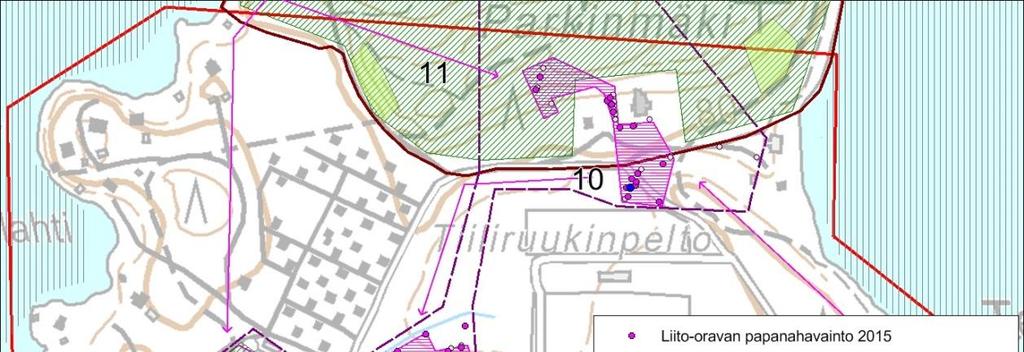 12. Skinnarilan niemeä ympäröivät vesialueet Skinnarilan niemeä ympäröivä Saimaan vesialue sisältyy Suomen tärkeisiin FINIBAlintualueisiin kuuluvaan Saimaan Lietveden aluekokonaisuuteen (Leivo ym.