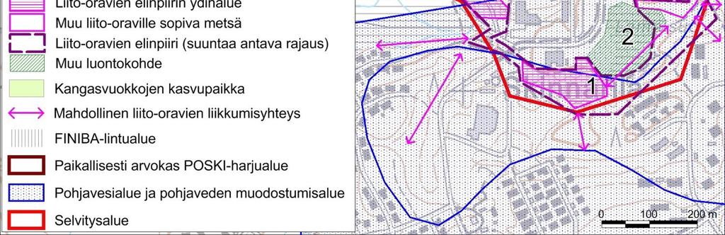 liito- IV(a)-laji oravaesiintymä 5 Yliopiston länsipuolen liitooravaesiintymä liito-orava luontodirektiivin liitteen IV(a)-laji Maa ja Vesi Oy 2004,