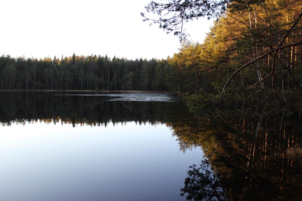 Kaavaehdotuksen luontovaikutusten