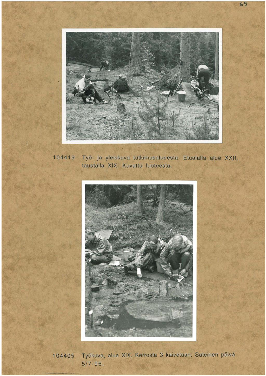 449 Työ- ja yleiskuva tutkimusalueesta. Etualalla alue XXII, taustalla XIX.