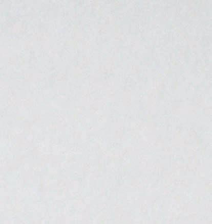 Projektille oli tarvetta, sillä vankien sairastavuus on lisääntynyt viimeisinä vuosikymmeninä.