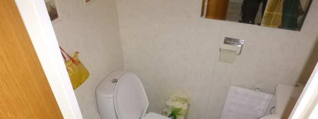19 14. Pesu-, wc-, keittiö- ja kodinhoitotilat 14.1. Wc PÄÄSIALLISET PINTARA-