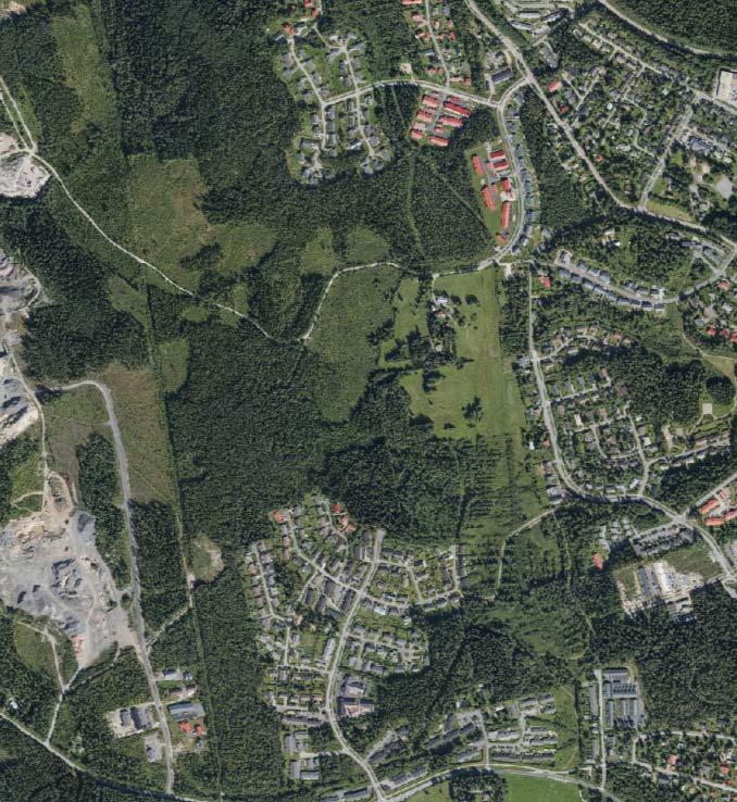 18 Asemakaavoitettujen Terttumäen (pohjoisessa) ja Nuutin (etelässä) välinen metsäinen alue on vielä lähes täysin rakentamaton.