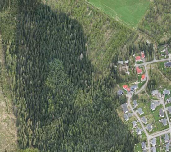 1) Lintukankaan korpi (3,1 ha) Kohde edustaa korpikokonaisuutta, jonka halki virtaa puro. Korpityyppeinä ovat metsäkorte-, mustikka- ja ruohokorvet.