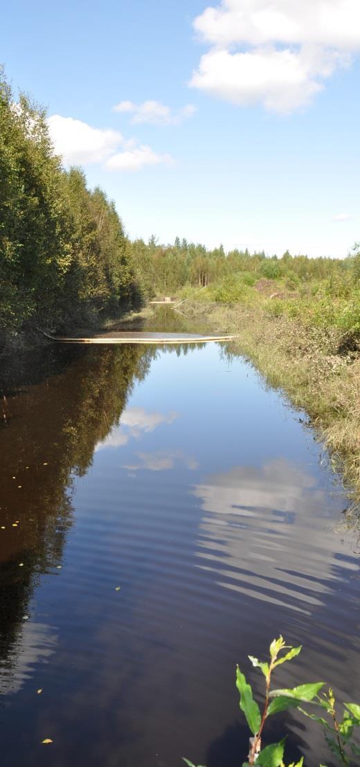 Hankkeen rahoitus Hankkeen kokonaisbudjetti 535 000 Pohjois-Pohjanmaan ja Lapin ELY - keskusten EAKR -ohjelman toimintalinja 2:sta rahoitus (400 000 /75 %) Kuntarahoitus (18