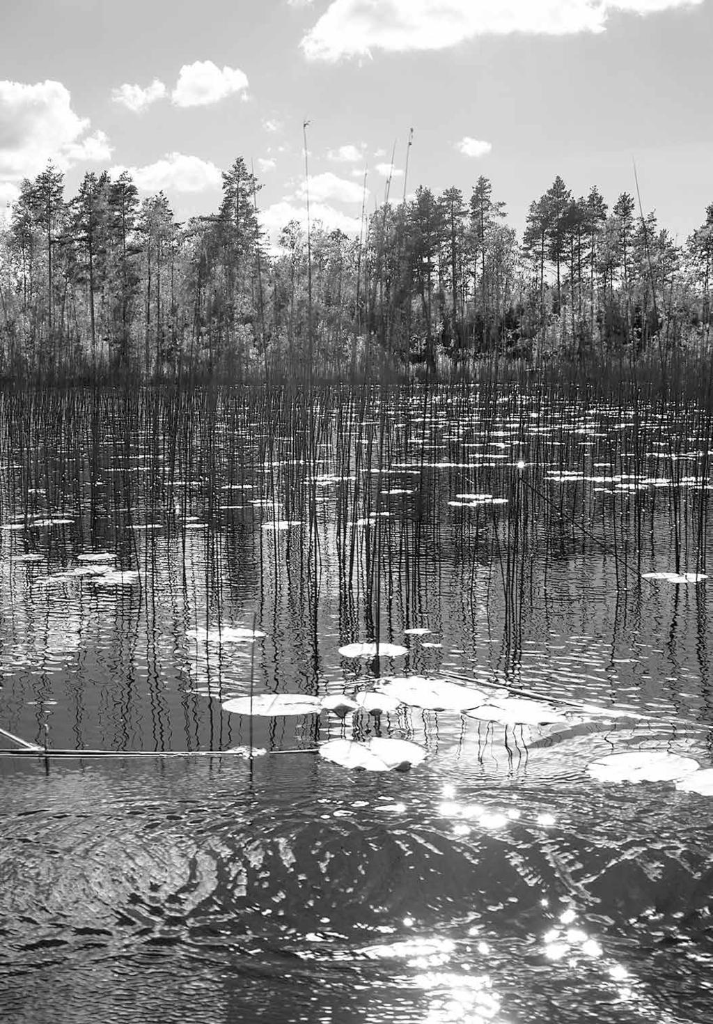 TAITEILIJAN RISTISSÄ LAULAA TOTUUDEN HENKI Opit saanut takoo alttariristin Jeesukseen kärsivän ilmeen suuret ruusuhehkun minuutit kun naulojen kipu kouristaa selkäpiitä vaikka voima on jo kallistanut