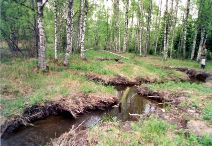 Luonnonmukaisen vesirakentamisen toimintatavat kuivatustoiminnassa Haittojen estäminen uomien kaivussa uomarakenteen monimuotoisuus, veden laatu Kosteikot alapuolella - vedenlaatuhaittojen leviämisen