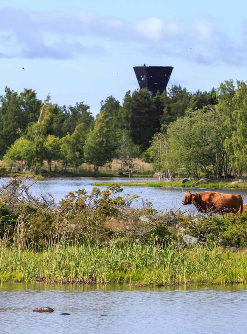 Beslutsfattande Päätöksenteko Samhällsbyggnadsnämnden fungerar som kommunens planläggningsmyndighet.