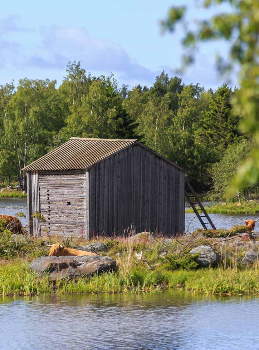 Kontaktuppgifter Yhteystiedot Besöksadress: Korsholms ämbetshus, Smedsby Centrumvägen 4 Planläggningsavdelningen, 2 våningen Öppet 8 16 Tfn 327 7111 (växel) E-post planlaggning@korsholm.