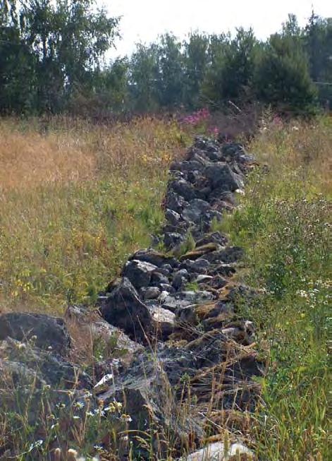 dekaunokki, timotei, metsäapila, kissankello, kultapiisku, särmäkuisma, silmäruohot ja mäkikaura. Puustosta löytyy kauniita koivuja, vaahteroita ja pihlajaa.