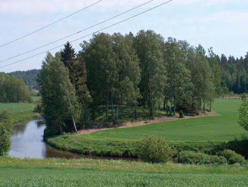 Kiskoenjoen Prinkkalan mutkassa sijaitseva hieno hakamainen saareke olisi erinomainen hoitokohde. Tämä alue sijaitsee Tammisaaren puolella. 94.
