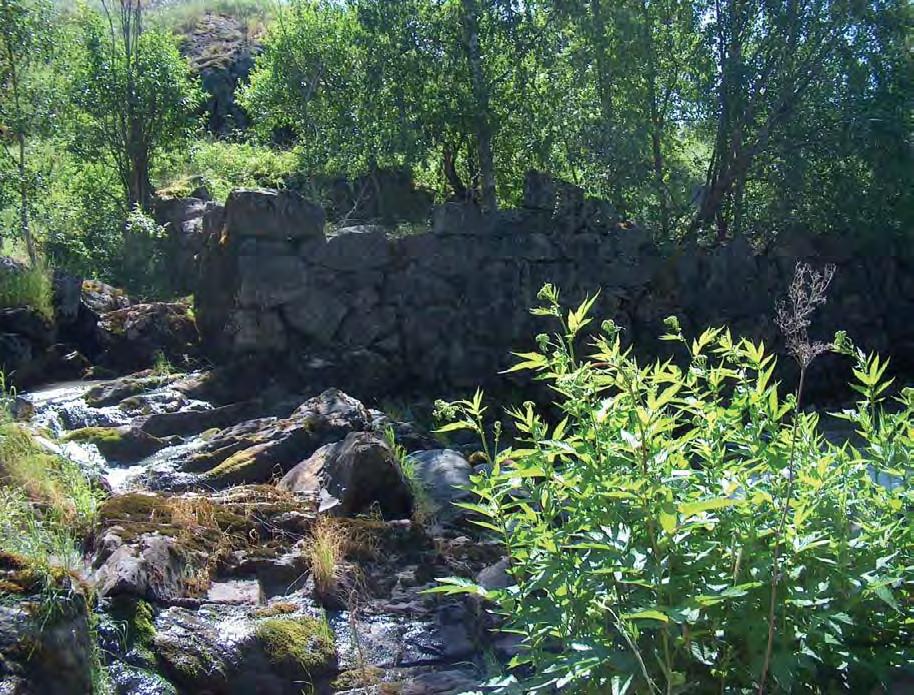 Pohjankosken mylly- ja ruukkiympäristön maisemaa kannattaa pitää avoimena varovaisten raivausten avulla. 148.