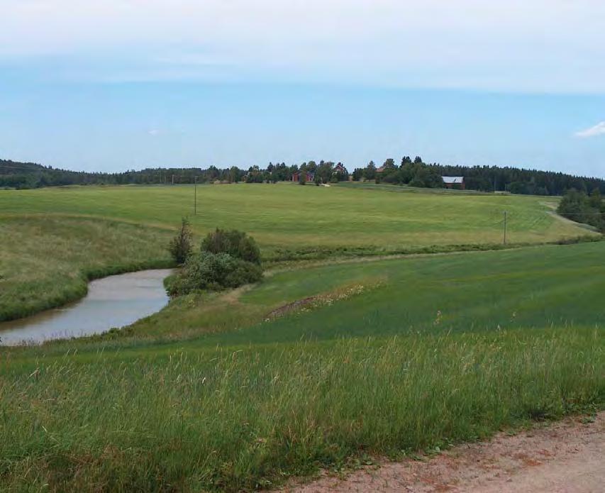 Suunnittelualueen monille kalteville tai tulvaherkille jokivarsipelloille voi erityisympäristötuen avulla perustaa suojavyöhykkeen. Kuva kohteelta 148. den alaa.