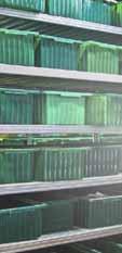 400A 4 021563 699575 1 Sensor-Automatic Llisävaruste: laservastaanotin RX 40 RangeXtender ml. paristot, yleiskiinnitin 033.