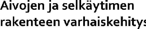 eriytyminen Ruutuaivojen eriytyminen Aivoepiteeli on aluksi ohut ja lohkoutuu kolmeen