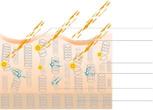 DAILY CARE ZEITGARD Nanogold TEHOKAS SUOJAAMINEN UVA-SÄTEILTÄ UVA säteiden tunkeutuessa ihoon syntyy vapaita radikaleja, jotka