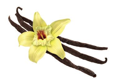 TUOKSUT TUOKSUNUOTIT Ambra Bergamotti Bouquet Heliotrooppi Ambra on salaperäinen tuoksu mereltä, joka tunnettiin jo antiikin aikoina.