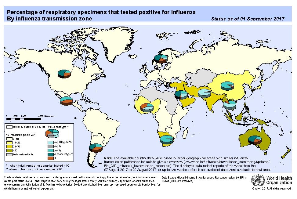 Influenssatilanne maailmalla nyt WHO, Influenza