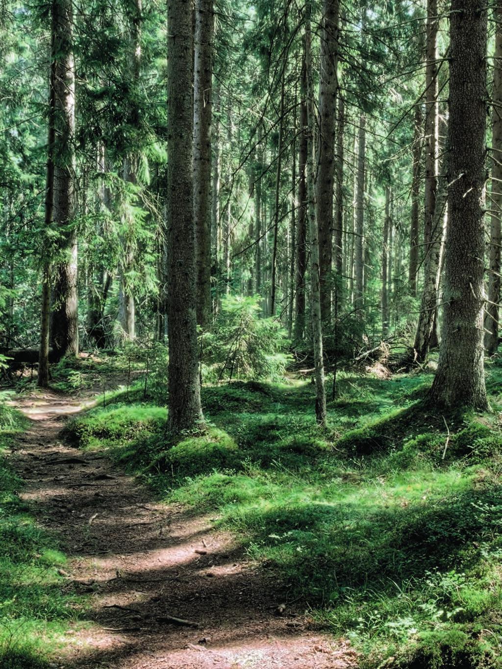 MARKKINOINTIESITE Tämä ei ole Finanssivalvonnan hyväksymä esite.