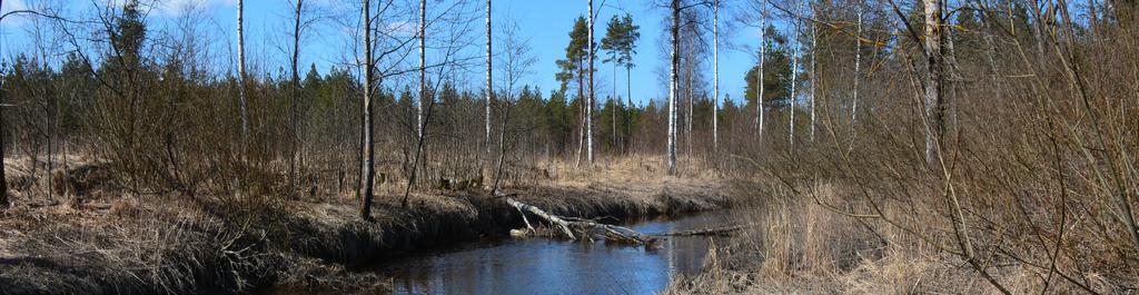 Riihimäen ympäristön tila Riihimäen ympäristön tilassa ei ole viime vuosina tapahtunut merkittäviä muutoksia.