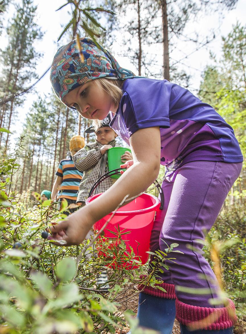Katse tulevaan! Riihimäen kaupungin työ ympäristön hyväksi jatkuu. Tulevina vuosina on panostettava muun muassa uusiutuvien energianmuotojen käytön lisäämiseen.