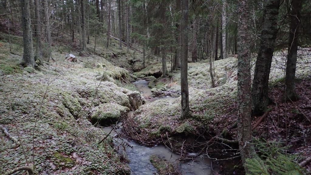 4 Jokioisten Murronkulman pohjavesialue Jokioisten Murronkulman pohjavesialueella ei sijaitse lähtöaineiston perusteella lähteitä.