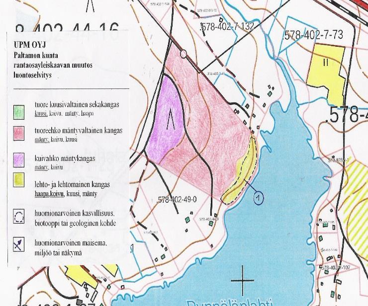 runsastuvat rantaa kohden.
