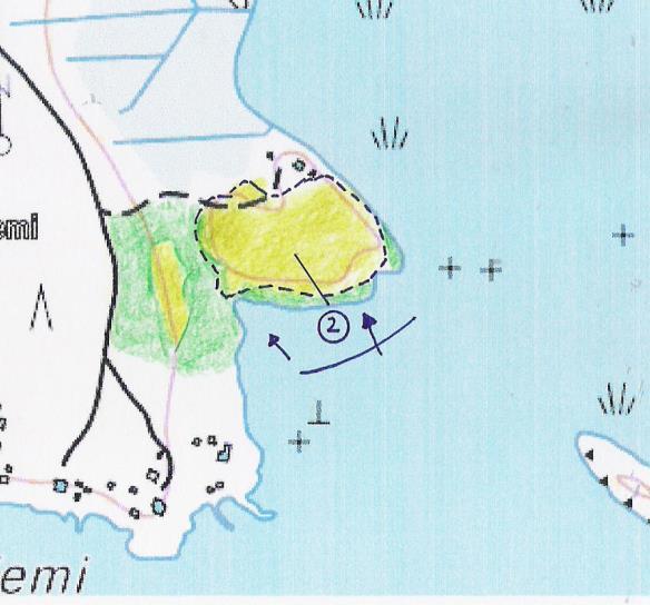 ja metsälauhaa. Maapuita ja pystypökkelöitä on verraten runsaasti. Metsäkurjenpolvi ja lillukka ovat paikoin valtalajeja. Niemen kärjessä on maapuita ja lajisto on edellä kuvatun kaltainen.