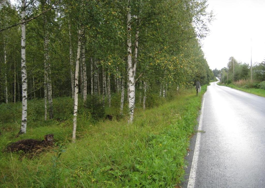 1: Näkymä Ruokkeentien liittymän suuntaan (pl 130).