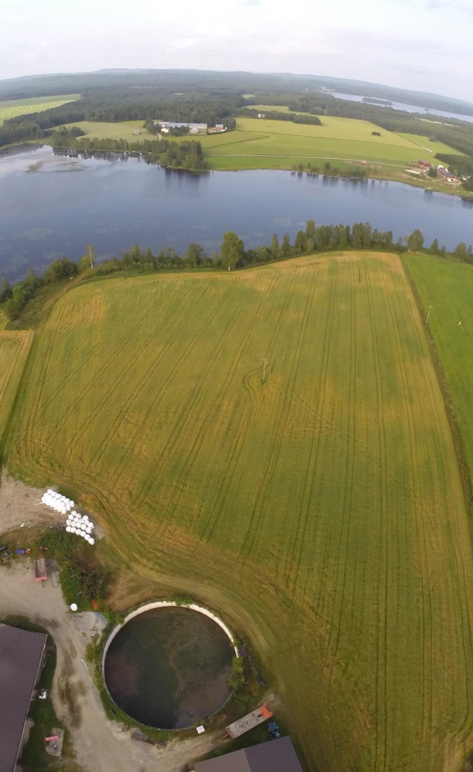 Mitä Nurmesjärvellä halutaan tehdä jatkossa? Kangaslahden kylän nettisivuille laitetaan Rannat kuntoon -hankkeessa koottu tieto http://www.kangaslahti.