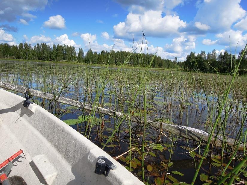 Nurmesjärven Kangaslahti 3/6 Kartoitukset