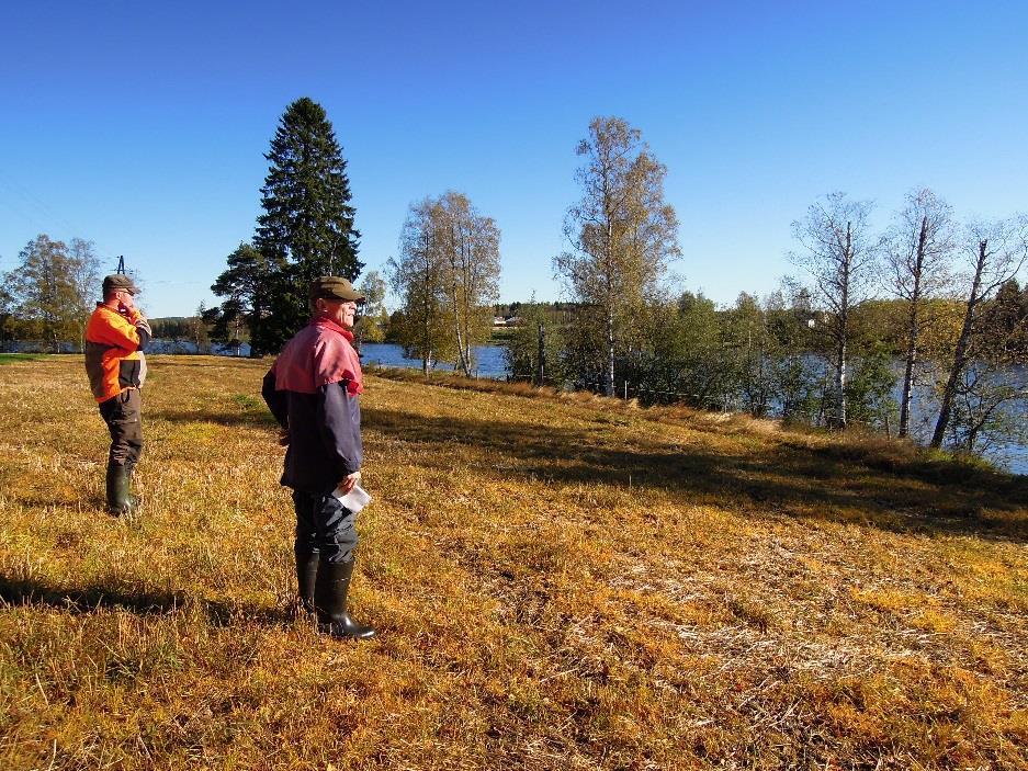 Kangaslahden maisemallisesti näkyvillä kohteilla sijaitsevien rantojen