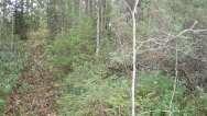 PIELISEN RANTAOSAYLEISKAAVAN MUUTOS Suunnittelu Haltilahti 11 1.2.13 Palvelut Kaavamuutosalueella ei ole palveluita.