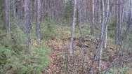 14 Yhdyskuntatekninen huolto Alueella ei ole järjestettyä yhdyskuntateknistä huoltoa eikä aluetta tulla liittämään sellaisiin. 1.