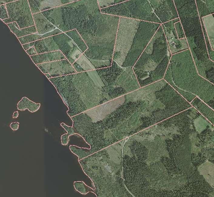 PIELISEN RANTAOSAYLEISKAAVAN MUUTOS Suunnittelu Haltilahti 7 Kuvasta 4 voidaan havaita kaava-alueen luonnetta Pielisen rannalla Kolunsaarien suojassa Linjalahdessa.