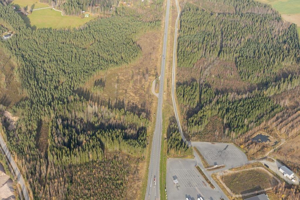 hakkaamatta. Liito-oravakartoituksessa (Mia Rahinantti 2015) todetaan, ettei alueelle rakentaminen heikennä tai vaaranna liito-oravan elinmahdollisuuksia.