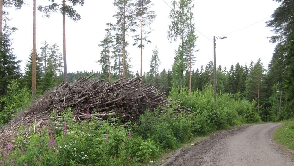 Lammenlenkki