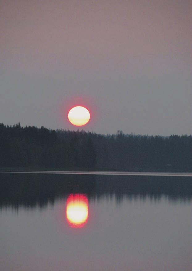 Piiparinen vauhdissa parketilla. Tyylikkyyttä suoraan lemmenlaivalta.