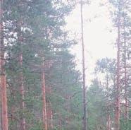 Kuvat eri kohteista ympäri aluetta.