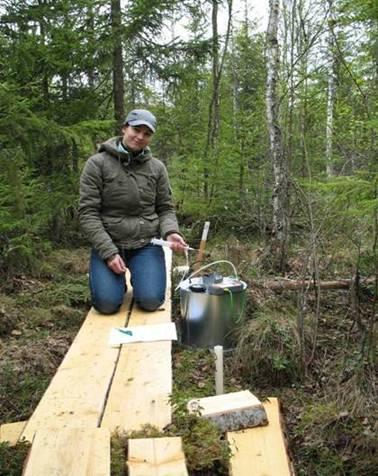 - Suopuskurit eivät ole tehokkaita pidättämään pieniä kuormia, jotka ovat lähellä taustakuormitusta. Puskurin itsensä aiheuttama kuormitus voi tällöin olla jopa suurempi (toimii kuten lt.