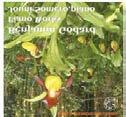 Tuotenumero: ODE 10812 Levymerkki: Ondine Laji: Klassinen EAN: 761195108123 Formaatti: CD Yksikkö: 1 Hintakoodi: 310 Puumala, Veli-Matti - Chainsprings & Seeds of Time -