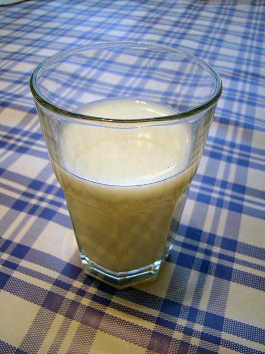 Lapinlehmän maito Maito on erifäin hyvin juoksefuvaa ja juustoutuvaa johtuen mm.