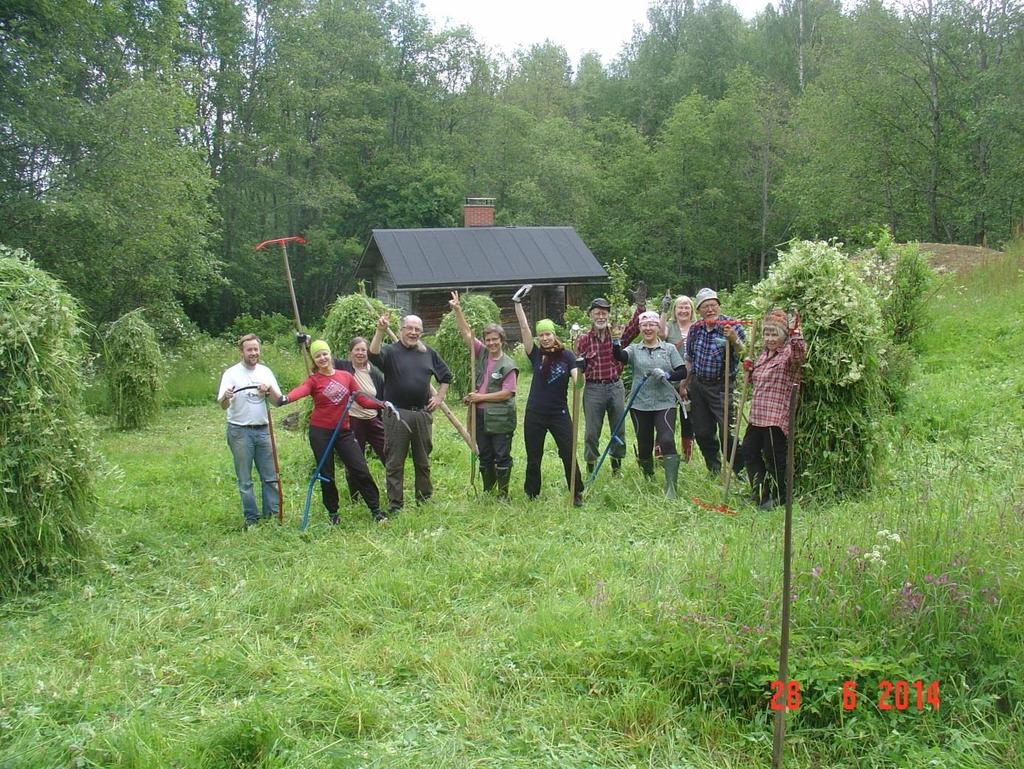 Kuva. Ukko-Kolin Ystävien iloinen talkooleiri niityn raivauksessa
