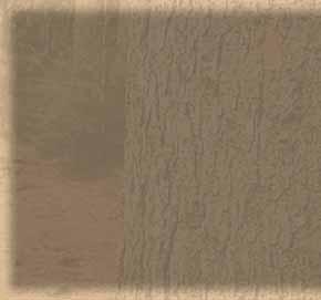 mitat Leveys 1200 mm x korkeus 1100 mm x
